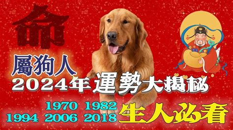 1982屬狗2023運勢顏色|1982年属狗人2023年运势及运程 82年41岁生肖狗2023年每月运。